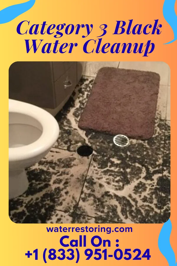 Category 3 Black Water Cleanup in Pleasanton, IA
