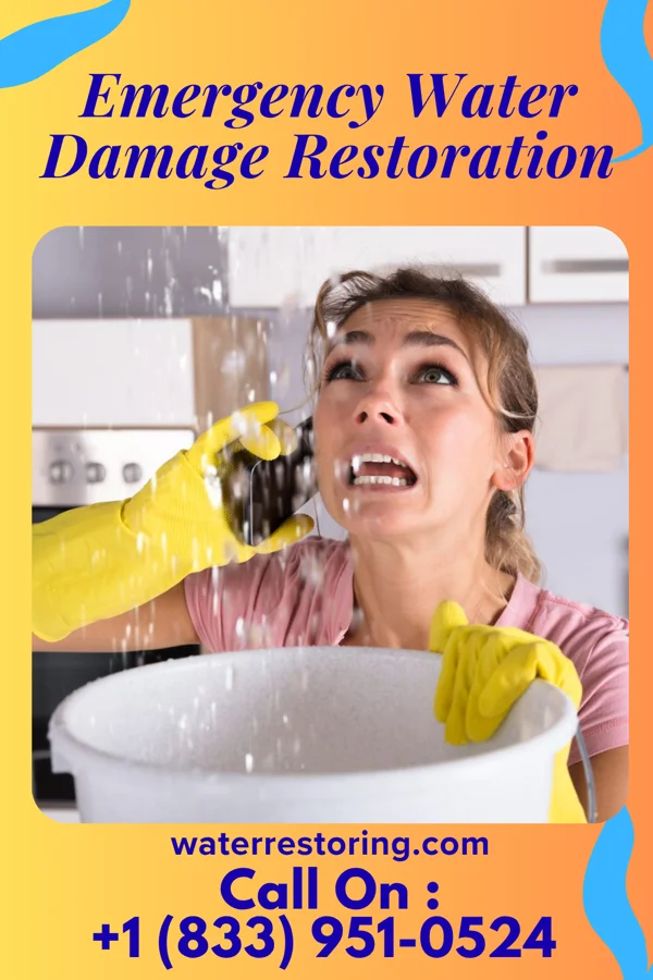 Emergency Water Damage Restoration in Pleasanton, IA