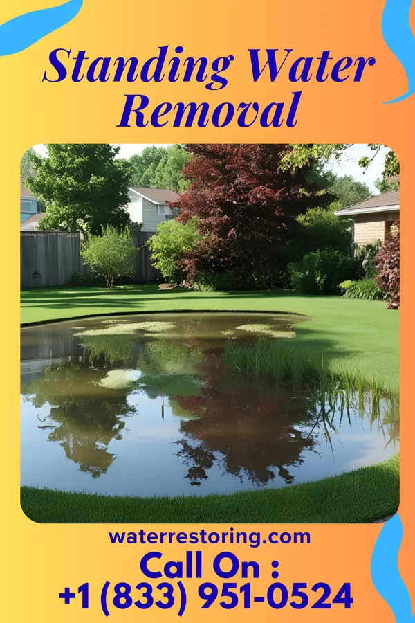 Standing Water Removal in Pleasanton, IA
